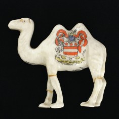 Crested Camel | Eric Franklin / Peter Gout