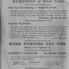 1938 Business Advertisements (Thrapston)   Cawdell Chemist