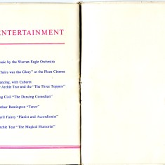 Safe return from 1939-1945 War  - Entertainment
