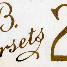 Freeman & Webb